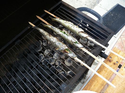 Pstruh na grilu