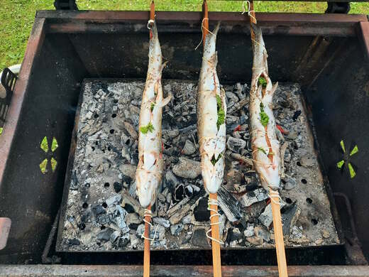 Pstruzi na grilu