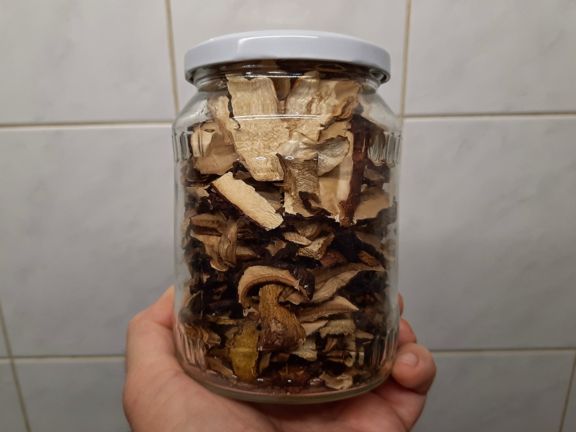 Sušené houby